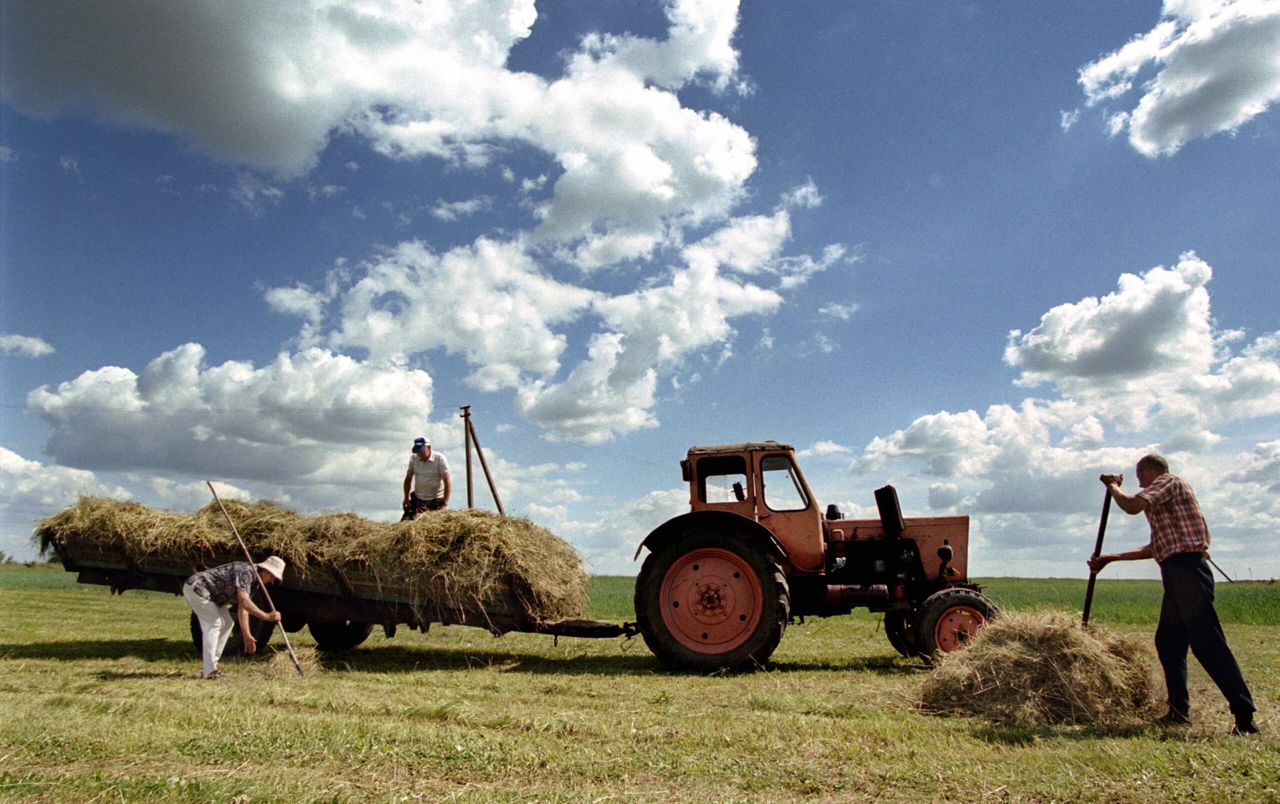 Bridging Inequality: Expanding Access to Essential Resources Across Developing Regions